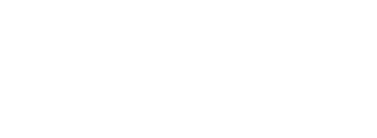 Chipotle Mexican